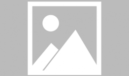 91直播不可以吃兔兔,为何不能吃兔兔？